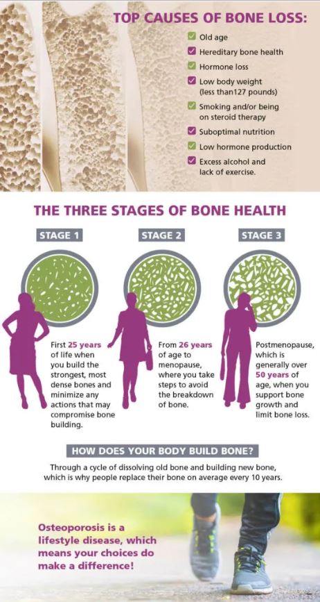 Did you know there are 3 stages of bone development?