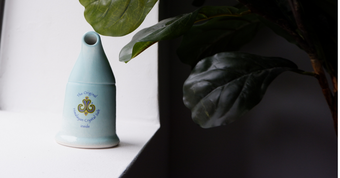Benefits of Salt Therapies and the Original Himalayan Salt Inhaler